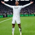 EA FC 25 (OFFLINE PC)