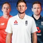 Cricket 19